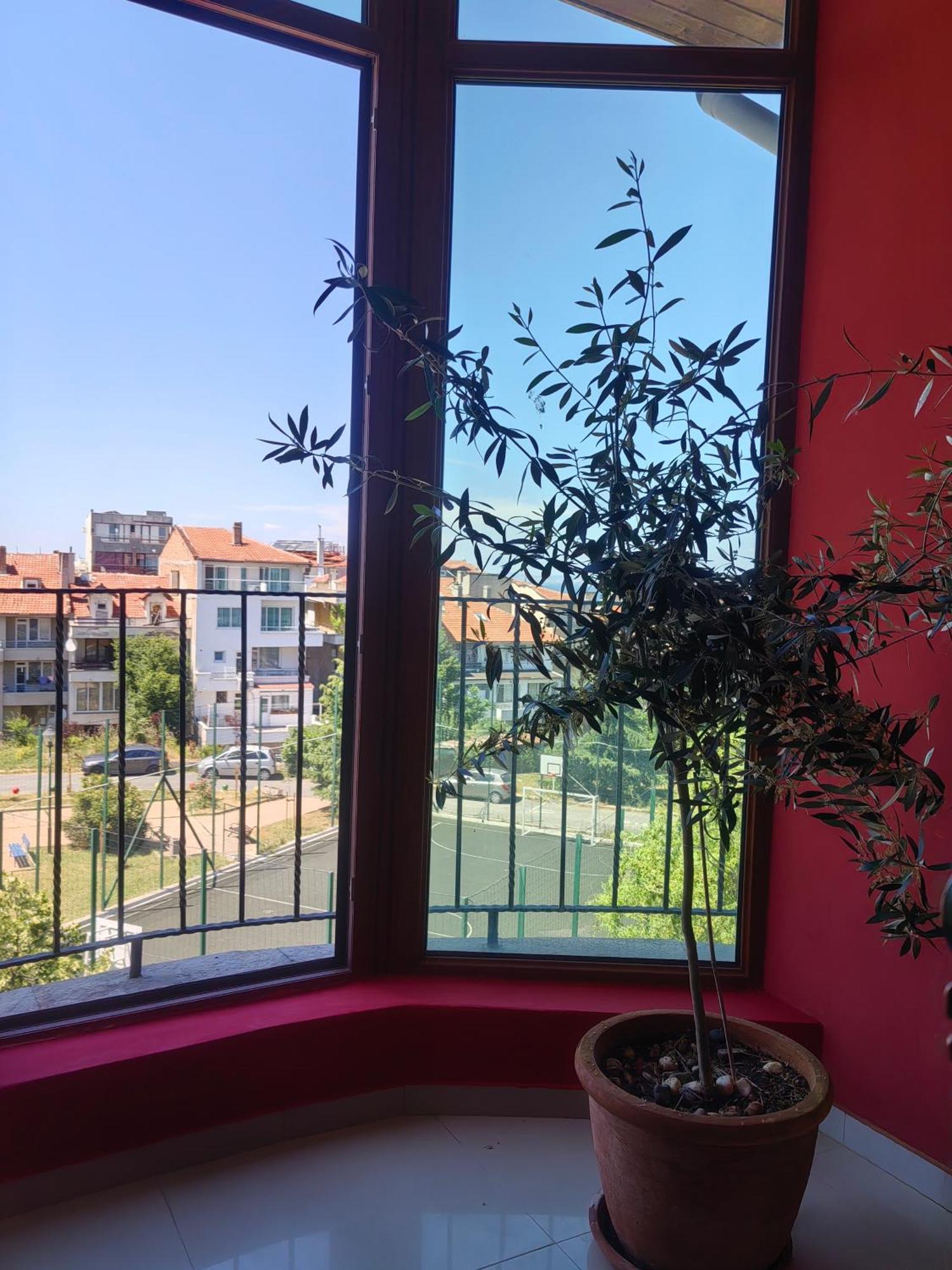 Moreno Sozopol Buitenkant foto